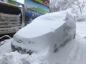 【知床流冰漫步LANTOKO】排行程必看!2015~2025年流冰狀況總整理 - 第28張圖