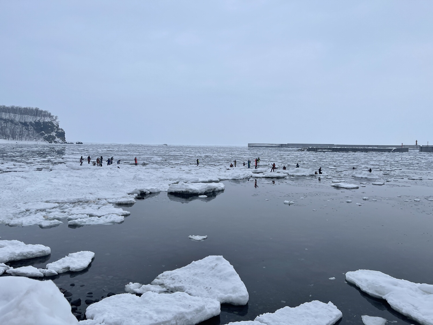 【知床】流冰漫步帶你漫步在海面～流冰漫步懶人包_2023年更新 - It's Hokkaido 北海道・道東生活