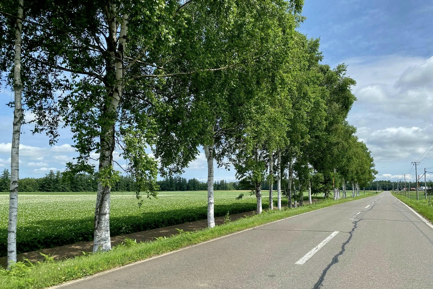 騎自行車E-bike玩北海道:道東5條推薦路線 - 第6張圖