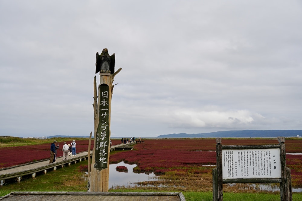 騎自行車E-bike玩北海道:道東5條推薦路線 - 第12張圖